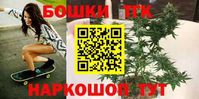 дмт Гусев