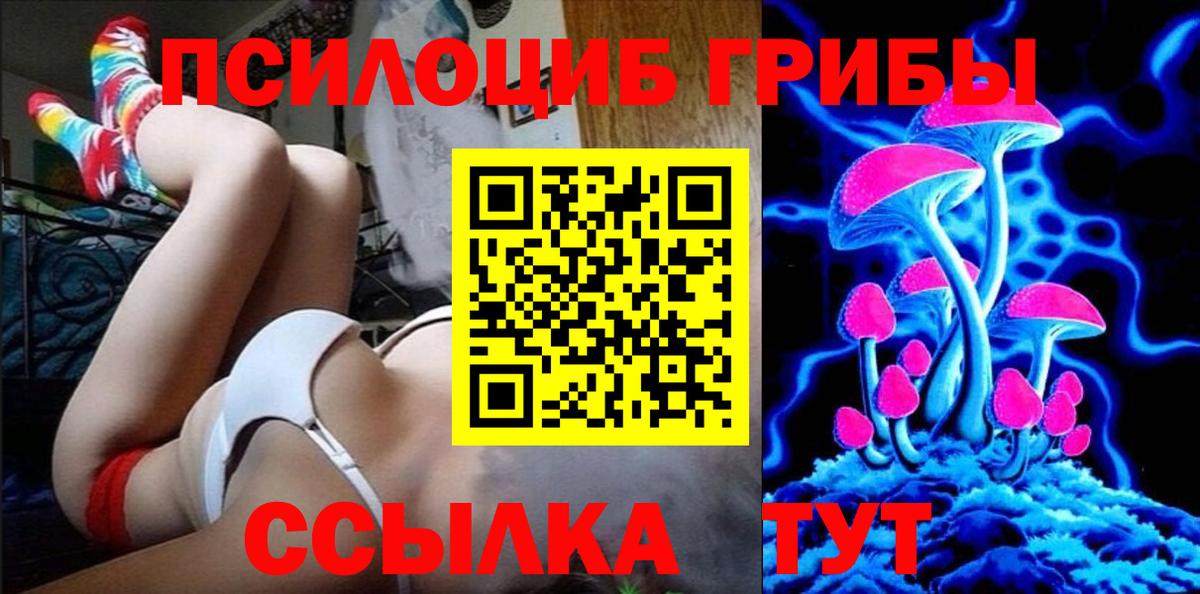 Карабулак  Галлюциногенные грибы Psilocybine cubensis  дарнет шоп  Вход с VPN 