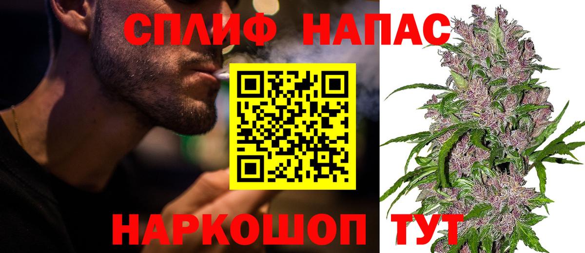Каннабис планчик Карабулак